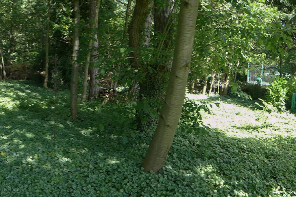 Das eigene eingezäunte Waldstück