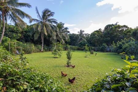 Large Studio Retreat in the Mountains