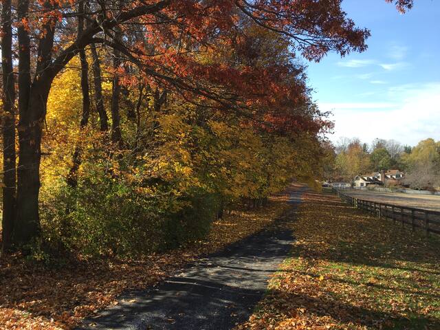 Freeland Farm Retreat
