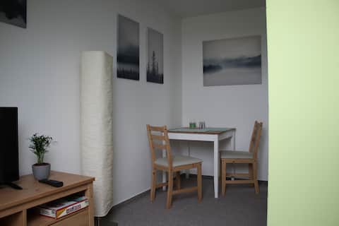 Charmantes Zimmer mit Blick über Dresden