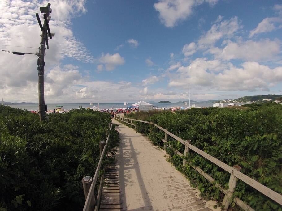 Praia de Jurerê Internacional - 250 metros do Apartamento /
Jurerê Beach - 250 meters walk from the Apartment