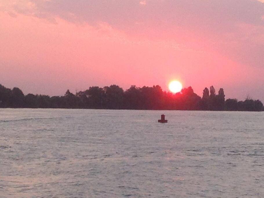 rising sun