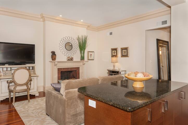 Sparkling New 2BR / 2BA in Back Bay gallery image 4