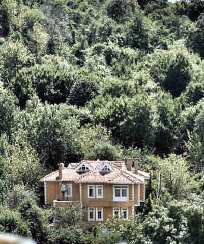 Doğa’nın içinde huzur bulabileceğiniz rahat bir ev gallery image 2