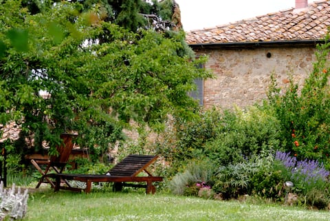 Apartment for 2 'Il Susino', Siena