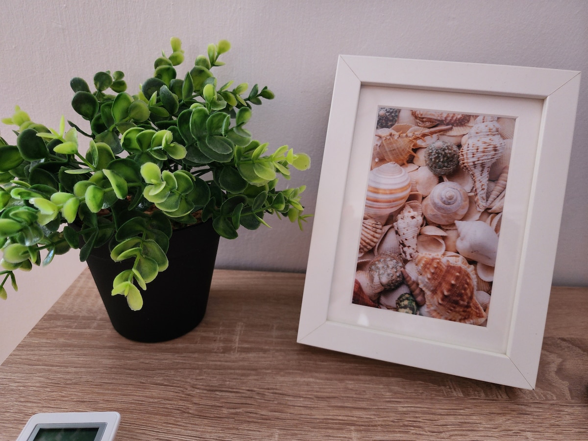 A small decorative plant is placed in a black pot next to a framed photo of seashells. The light-colored wooden surface provides a natural contrast to the items displayed, creating a calm and inviting detail in the space.