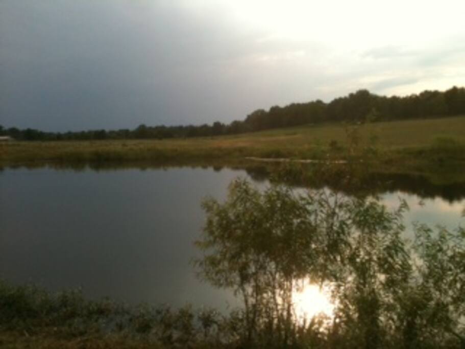 Back pond at sunset