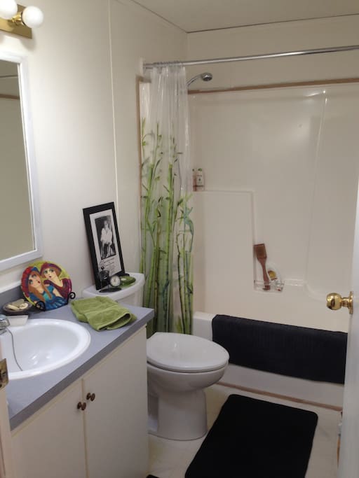 Guest bathroom