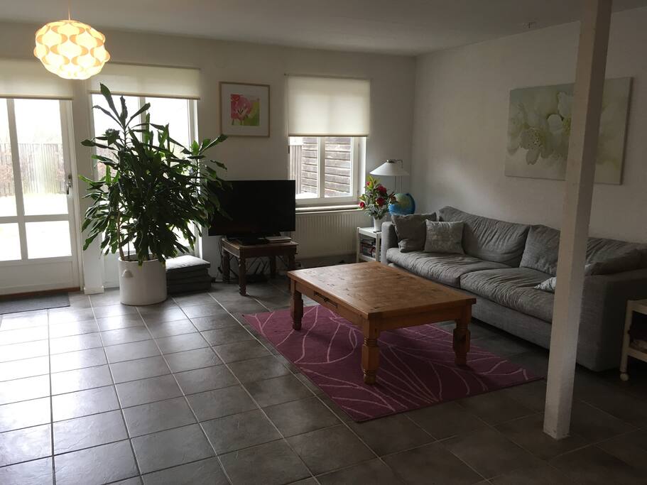 Living room - sofa and TV