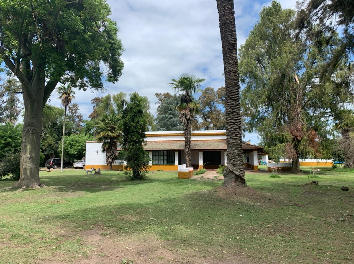 The exterior of the home is framed by tall palm and leafy trees, creating a naturally shaded environment. The structure features a combination of white and yellow walls, with a spacious porch that extends across the front, inviting relaxation in a lush green yard.