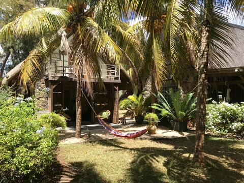 Lodge Bamboo