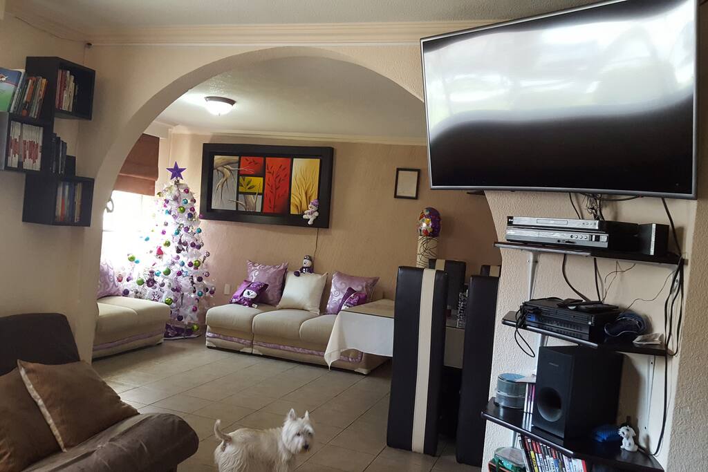 Vista 1
