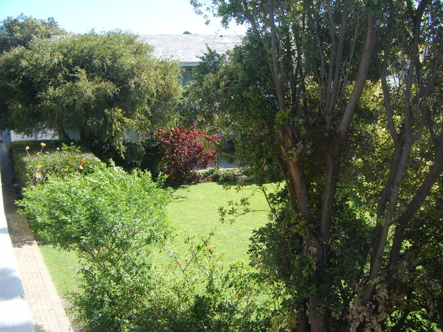 The view lends itself to an ambiance of tranquility and calm
