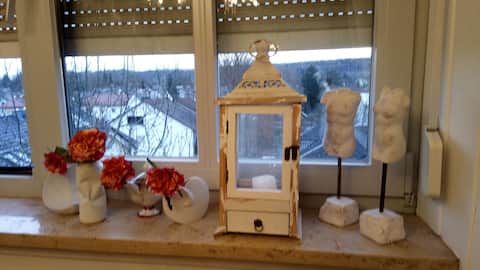 Beautiful 2-room apartment!!