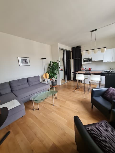 Popular Airbnb listing: Charming flat in "le Marais", in Paris 4e Arrondissement