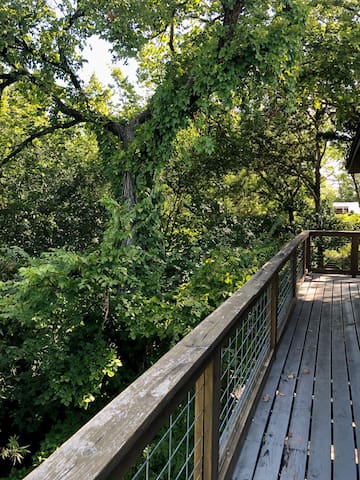 Kessler Park Treehouse gallery image 4