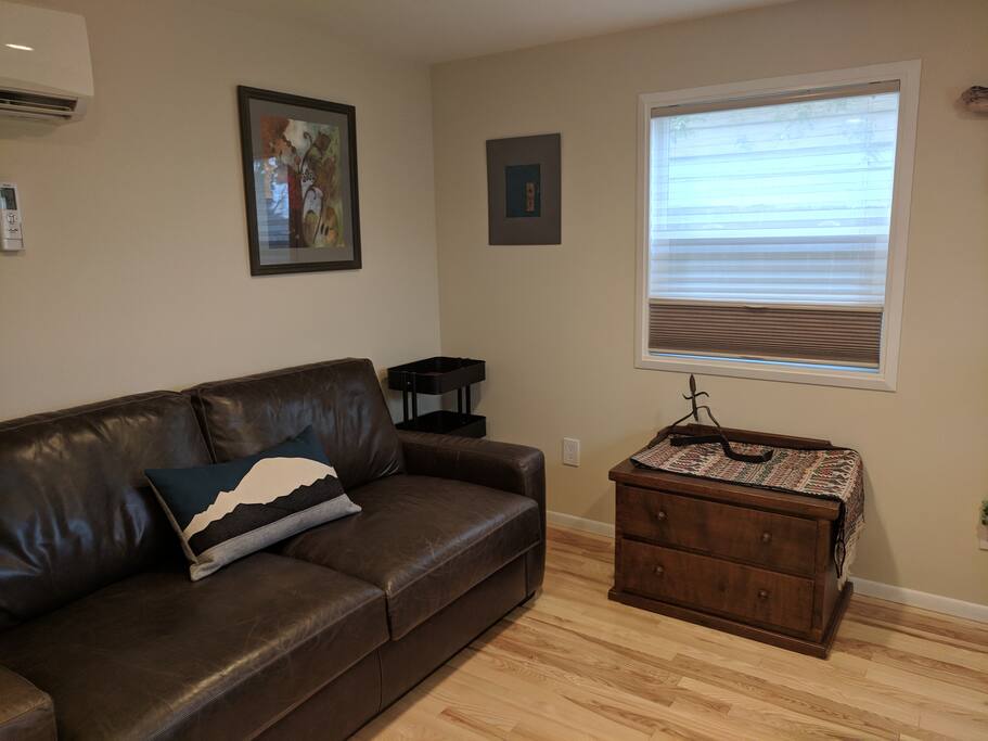 Leather sofa. sheer/blackout combo shades