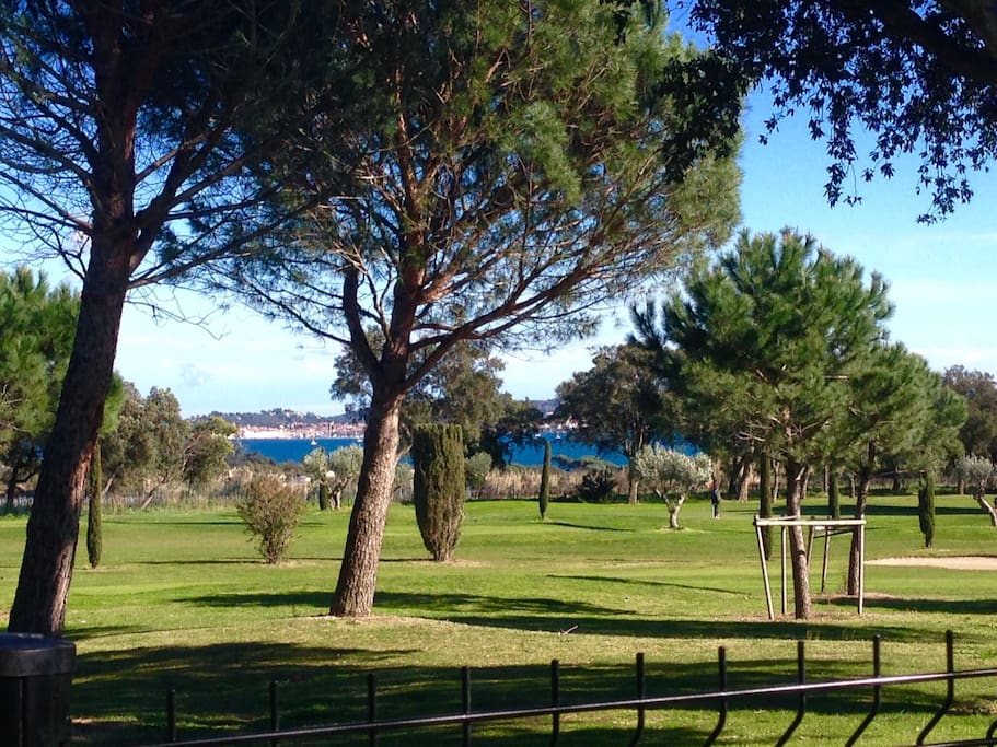 Vue du jardin sur le golf de Beauvallon et le clocher de St Tropez.