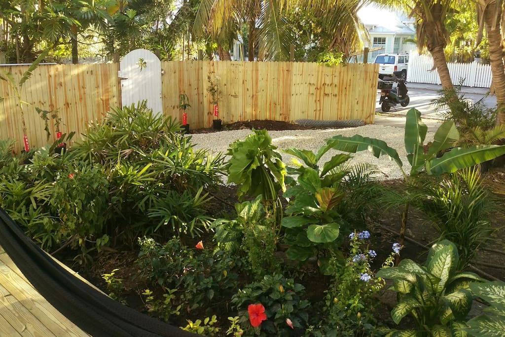 very large side yard with flowers and fruit trees large deck/grill
