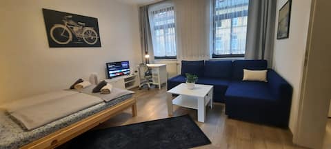 Spacious city apartment with balcony