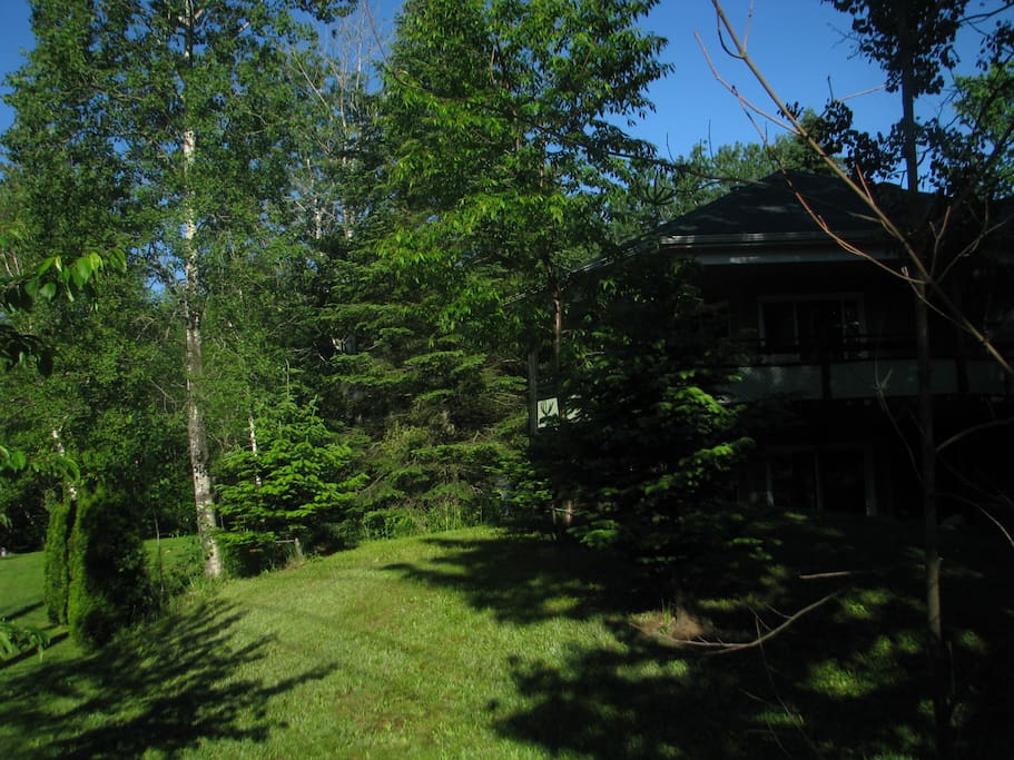 le jardin