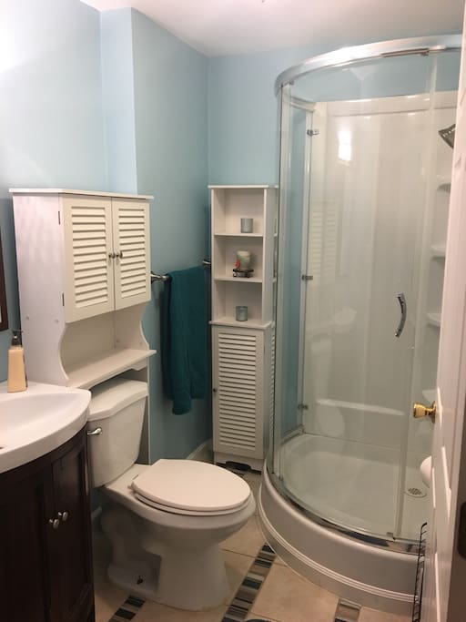 Basement Bathroom