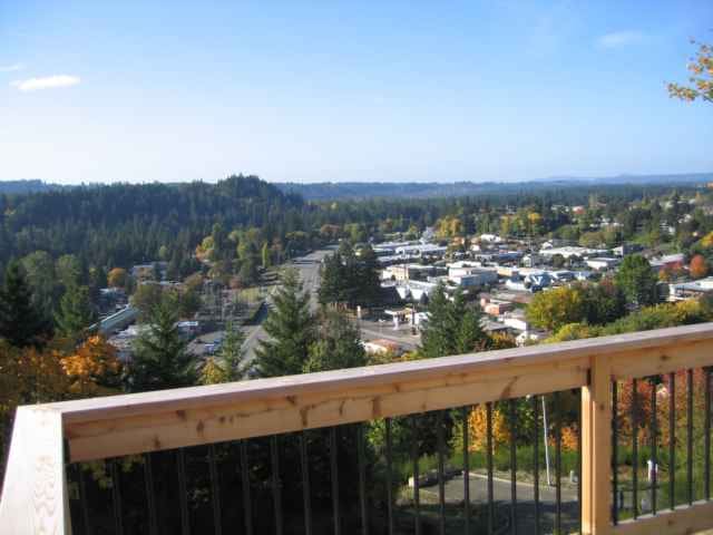 Estacada 'View House'