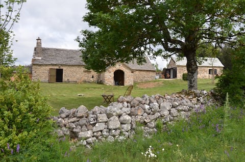 The Tounette Sheepfold - Causse Mejean