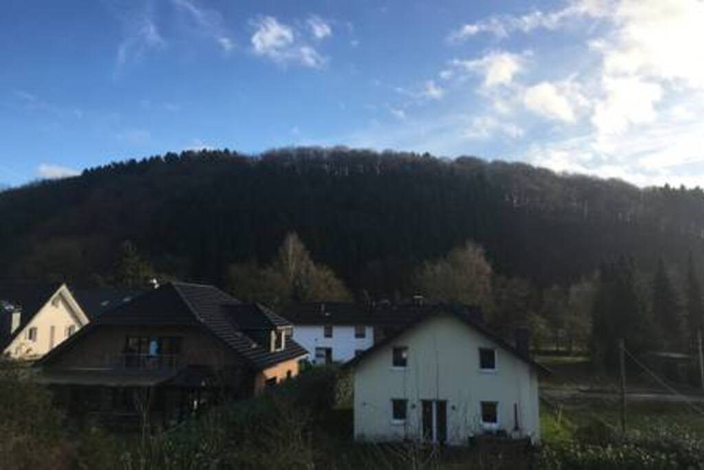 Der Blick in´s Grüne von Ihrem Zimmer in der 1. Etage.