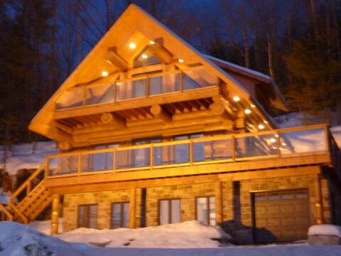 Log home Scandinavian,  spa