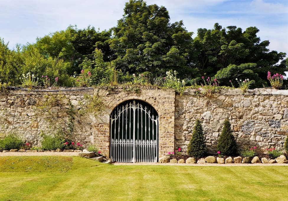 The Garden