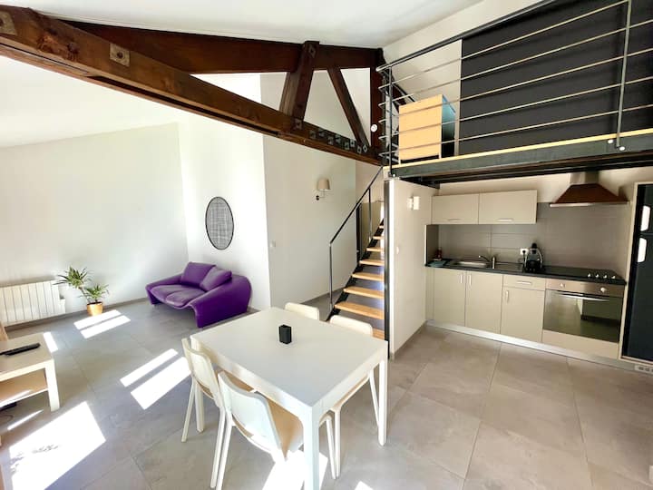 Nancy Vieille Ville Duplex 80M2 RENOVATED Apartments for Rent in