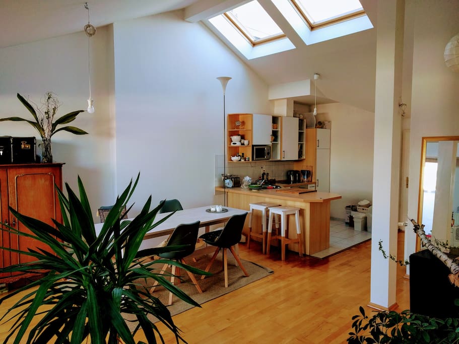 Big room with open kitchen, access to terrace and couch area