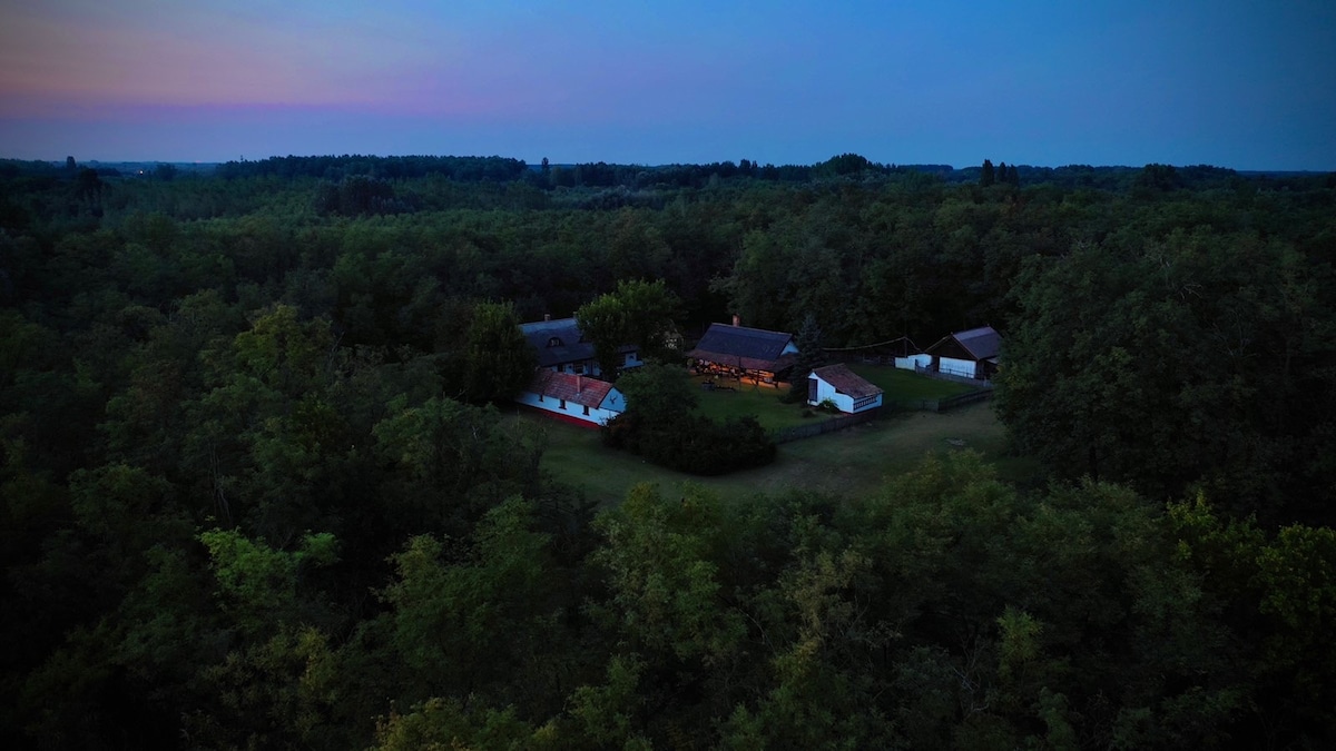 An aerial view captures multiple buildings nestled within a lush green landscape, surrounded by dense trees. The fading light of dusk creates a serene atmosphere, while soft glows hint at the welcoming spaces within the buildings.