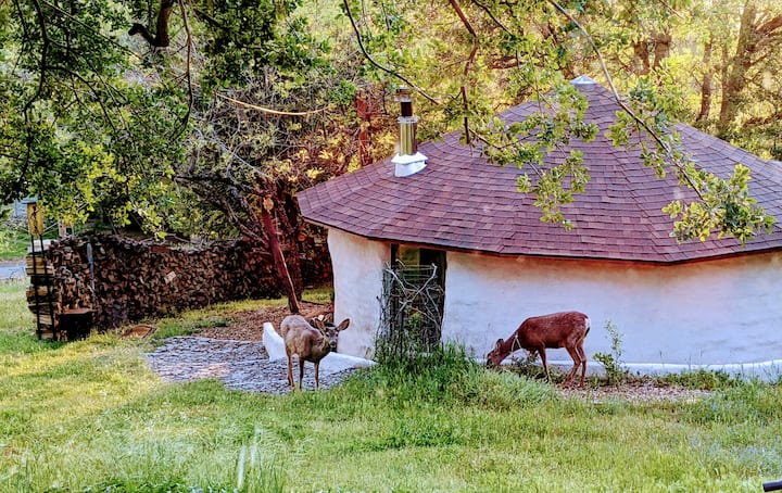 Yosemite, Ca – The Boukarou Experience - Oakhurst