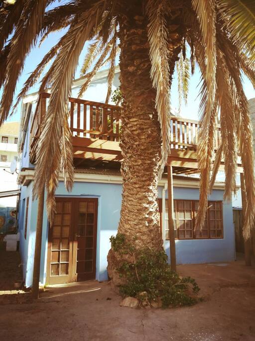 Our blue house