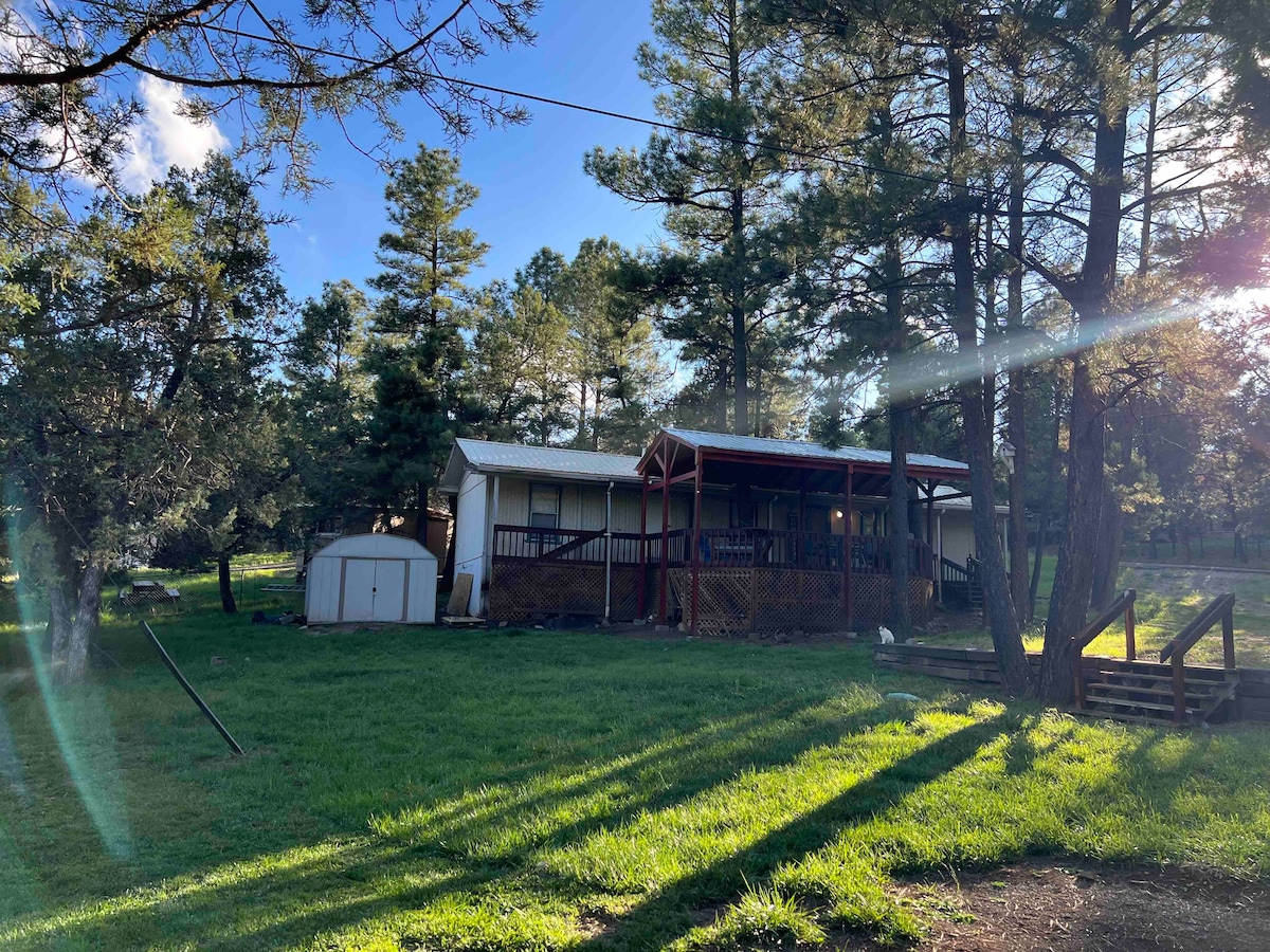 A quaint home is set against a backdrop of tall pine trees, showcasing a spacious deck that extends from the front. A storage shed is visible beside the house, with a lush green lawn in the foreground illuminated by natural light.