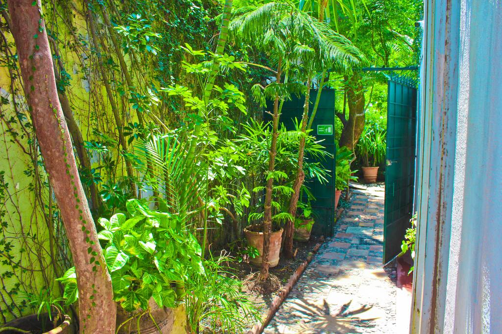GREEN AREAS ALL AROUND