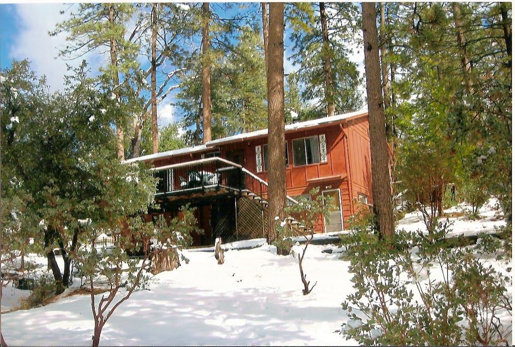 Vacation Cabin for Nature Lovers! Houses for Rent in IdyllwildPine