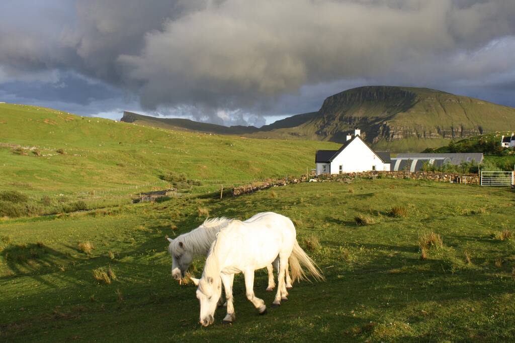 The croft