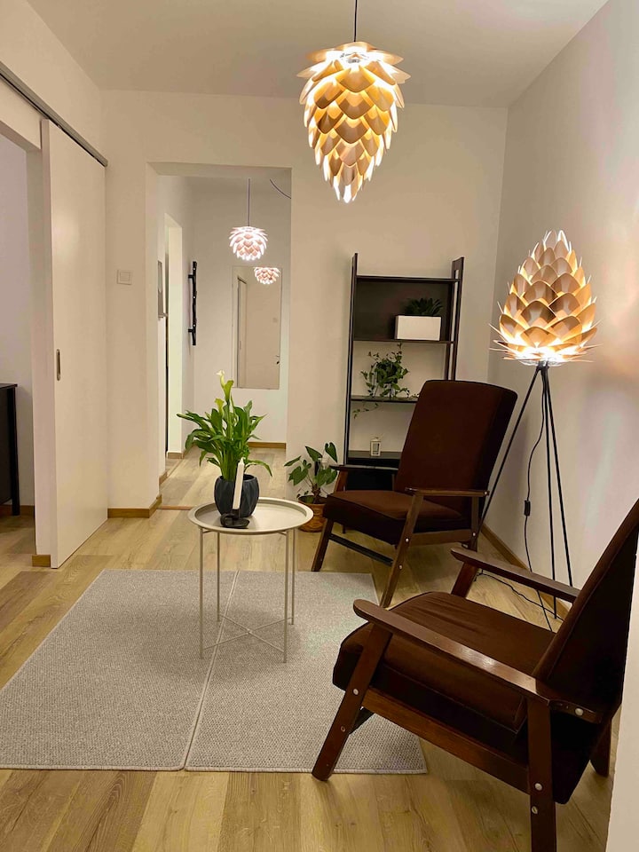 Lovely Apartment Near Palas - Iași