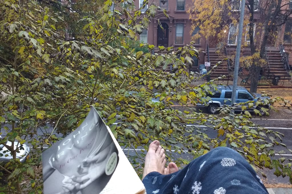 Sitting on my windowsill