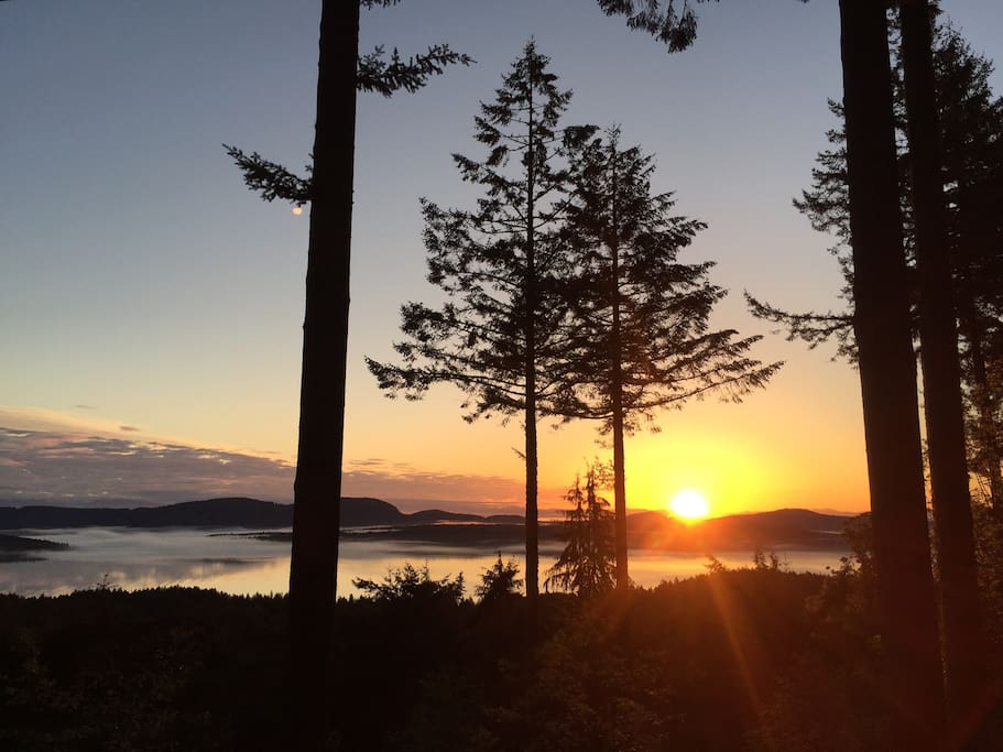 Salt Spring Island Eye Care Salt Spring Island Eye Care