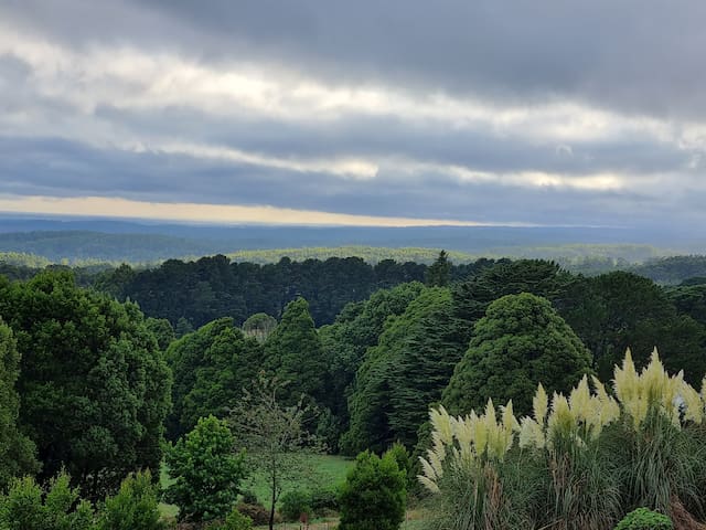 Beech Forest Cottage – cozy and comfortable!