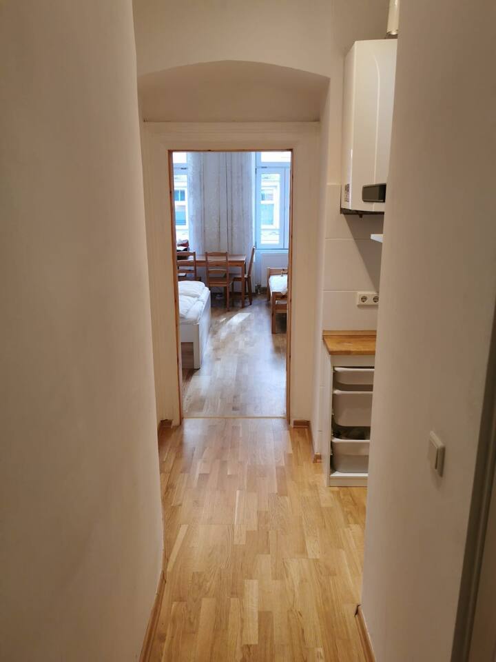 Altbauwohnung In Wien Apartments For Rent In Vienna Wien Austria