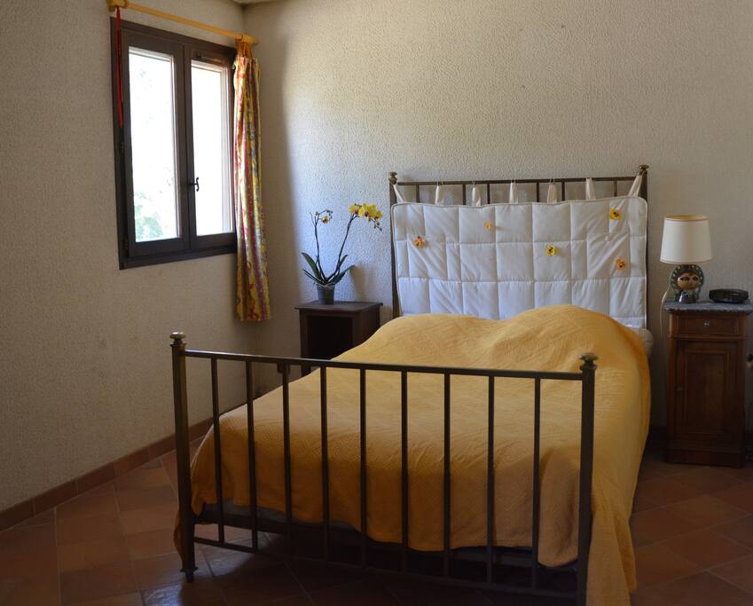 Chambre Jaune a l'ombre du pin