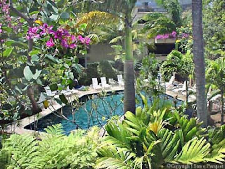 Fabulous Ocean View Prince Kuhio 303 Condominiums for Rent in Koloa