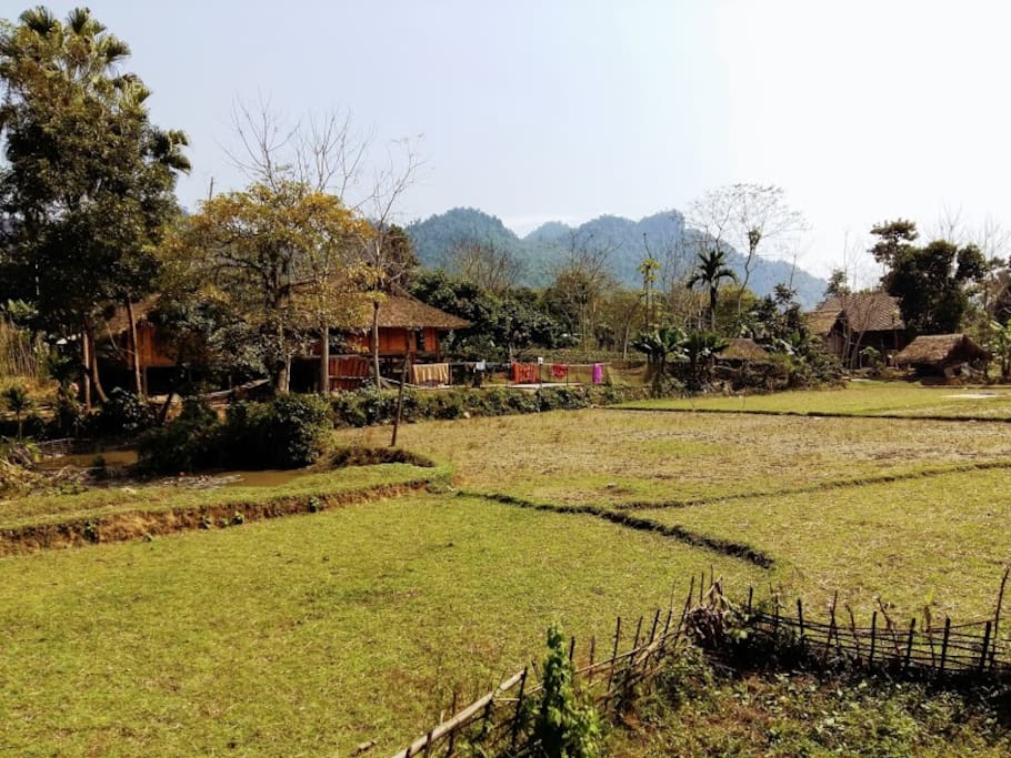 Ha Giang homestay and Local tour guide