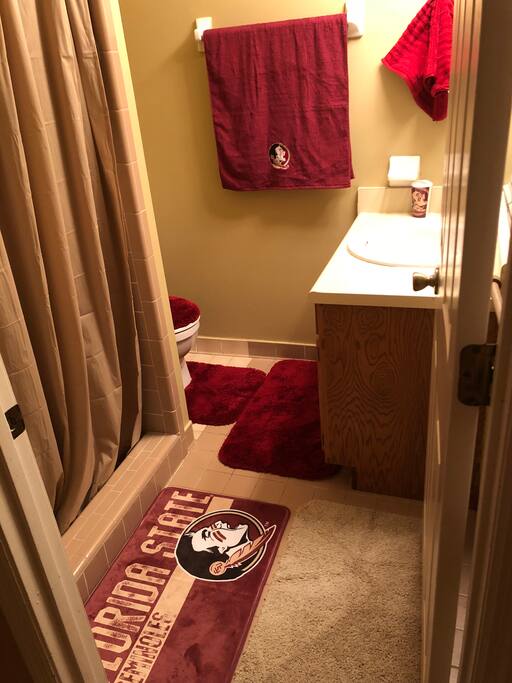 Your bathroom (GO NOLES!)