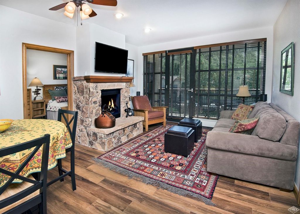 客厅和燃气壁炉。沙发床。 